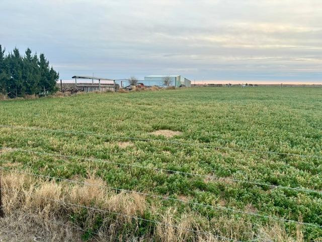 1014 Old Lamesa Road Brownfield, TX 79316 - Photo 12 of 13 a view of a field with ocean and trees in the background