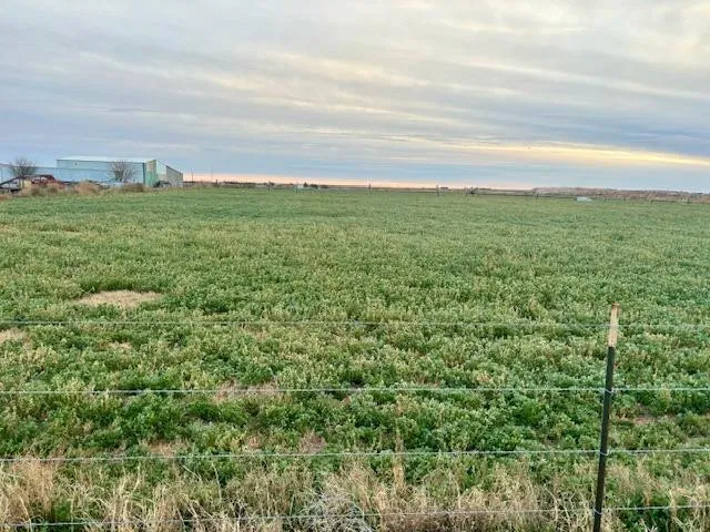 $147,000 | 1014 Old Lamesa Road, Brownfield, TX 79316