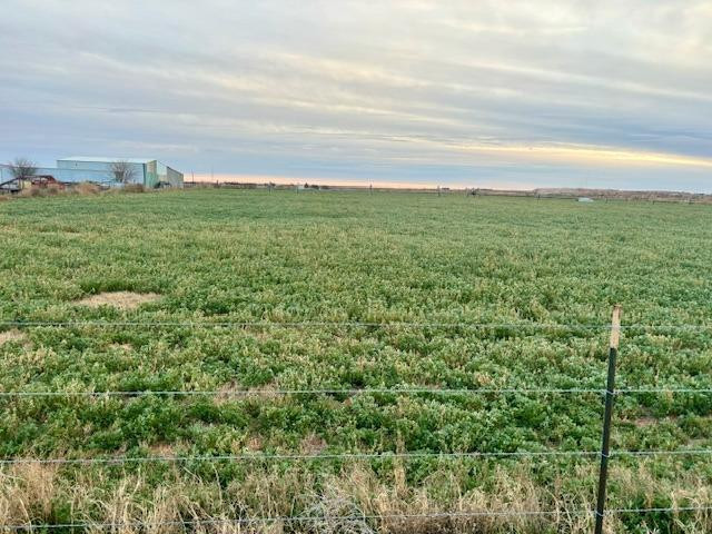 1014 Old Lamesa Road Brownfield, TX 79316 - Photo 13 of 13 a view of a field with an ocean and trees