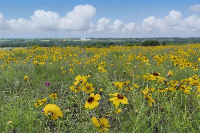 $13,140,000 | 4500 White Settlement Road, Willow Park, TX 76087