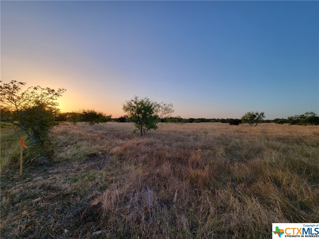 Tbd Tbd Neal Road Moody, TX 76557 - Photo 6 of 11
