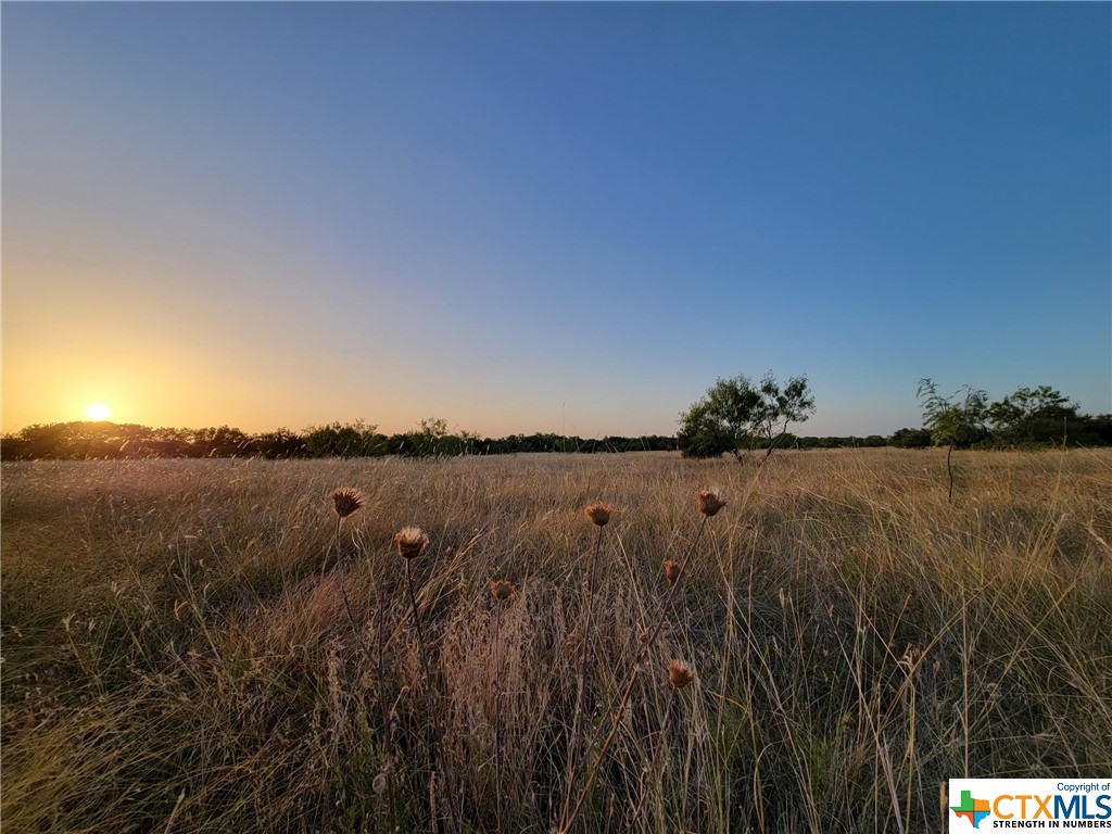 Tbd Tbd Neal Road Moody, TX 76557 - Photo 7 of 11
