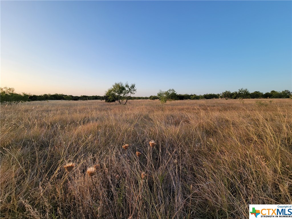 Tbd Tbd Neal Road Moody, TX 76557 - Photo 8 of 11