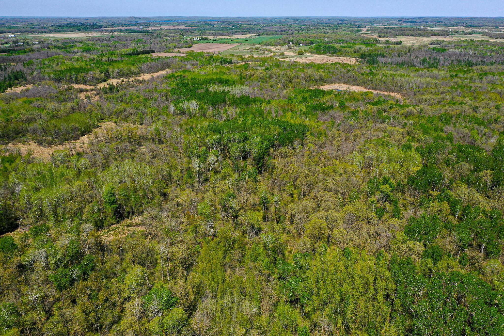 Tbd 140 Street Frazee, MN 56544 - Photo 36 of 149