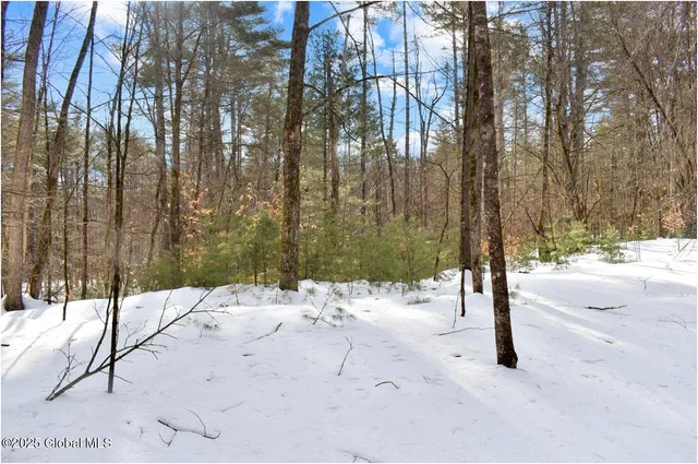$55,000 | L94 Highview Lane, Unit LOT 10, North Creek, NY 12853