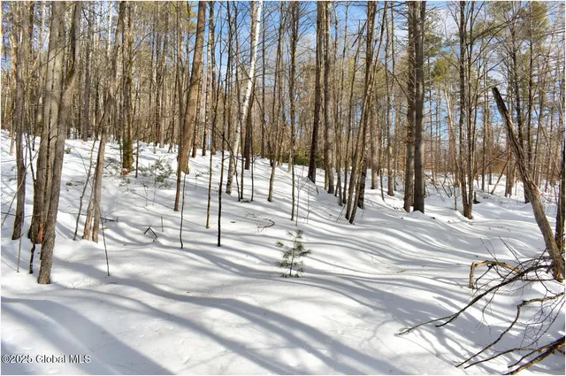 $55,000 | L94 Highview Lane, Unit LOT 10, North Creek, NY 12853