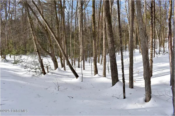 $55,000 | L94 Highview Lane, Unit LOT 10, North Creek, NY 12853