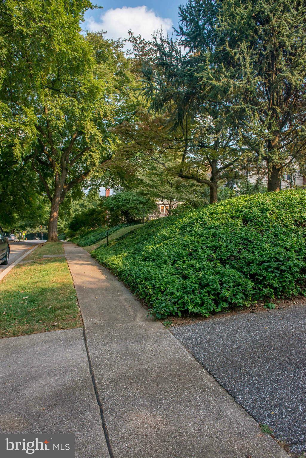 5 Beechdale Road Baltimore, MD 21210 - Photo 20 of 20 a view of a garden with pathway