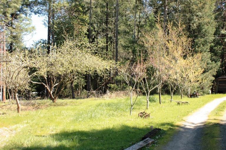 134 Lind Road Grants Pass, OR 97527 - Photo 25 of 25 Additional Photo