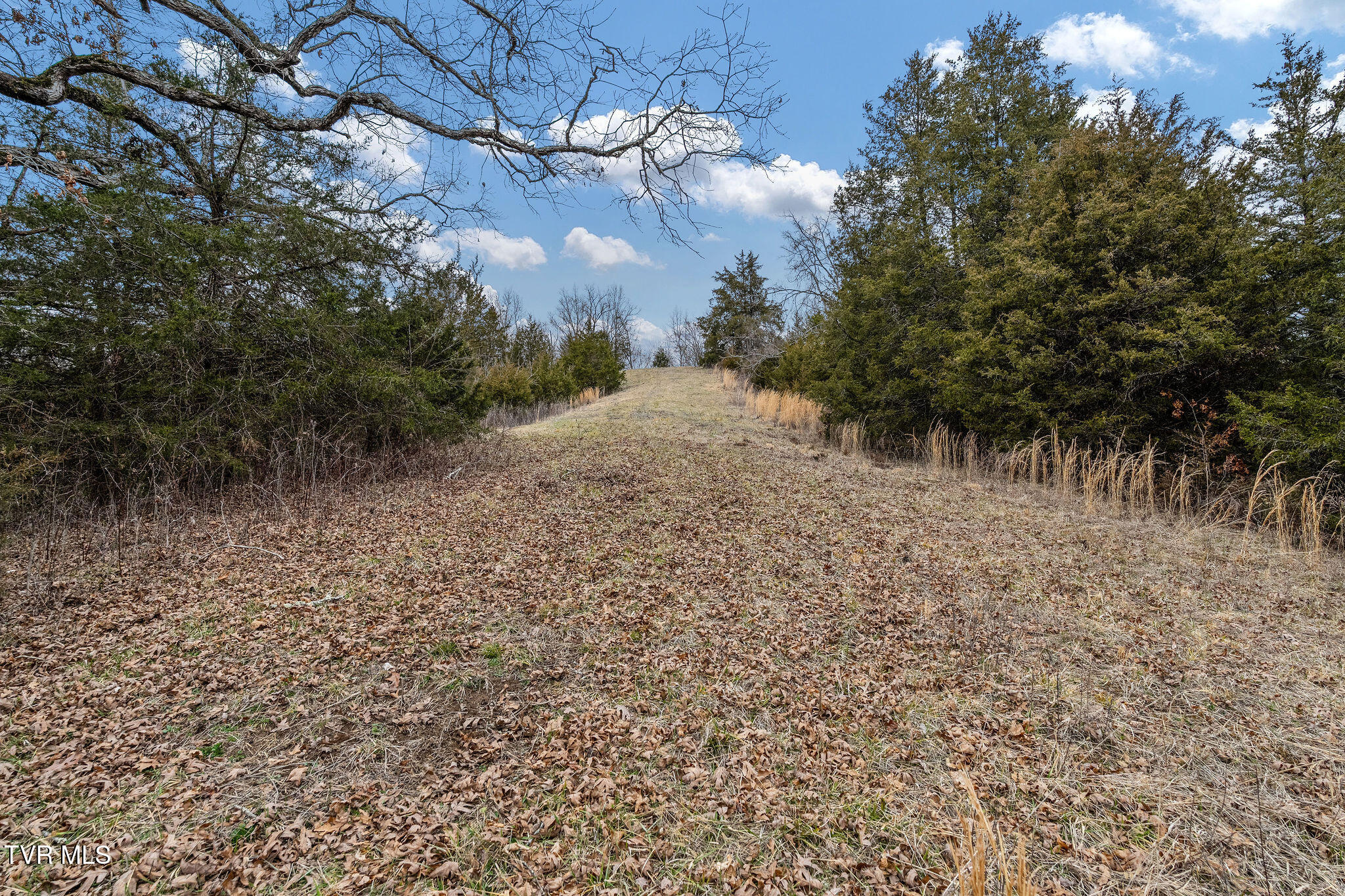 Tbd Smithtown Road Afton, TN 37616 - Photo 38 of 52 DSC03795