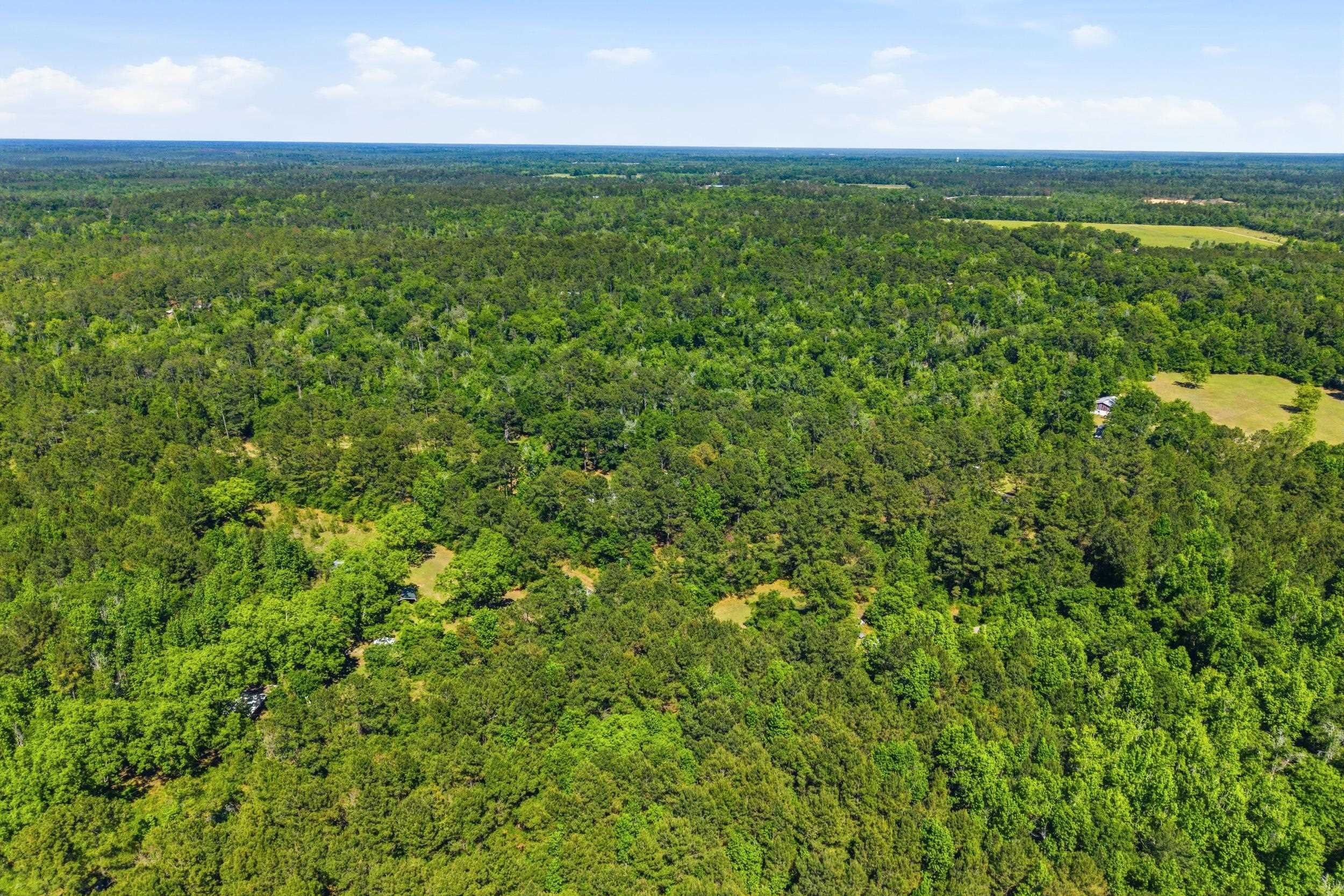 210 Winding Creek Road Quincy, FL 32351 - Photo 41 of 53