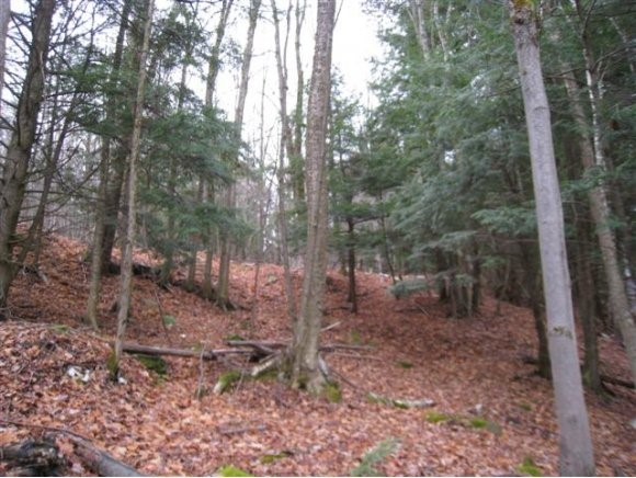 0 Ayers Farm Road Stowe, VT 05672 - Photo 1 of 1