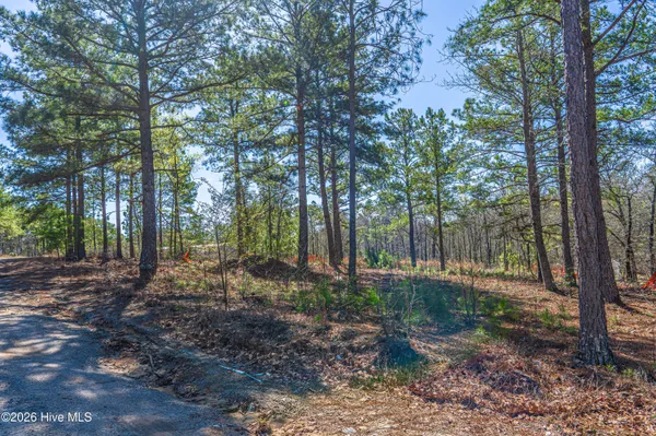 $45,000 | 708 Ed Thomas Road, Cameron, NC 28326