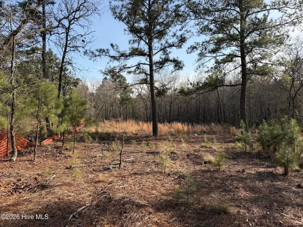 $45,000 | 708 Ed Thomas Road, Cameron, NC 28326