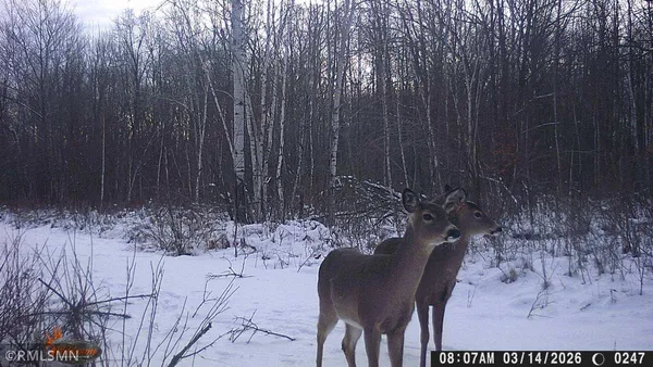 $205,000 | 2430 Falcon Street, Mora, MN 55051