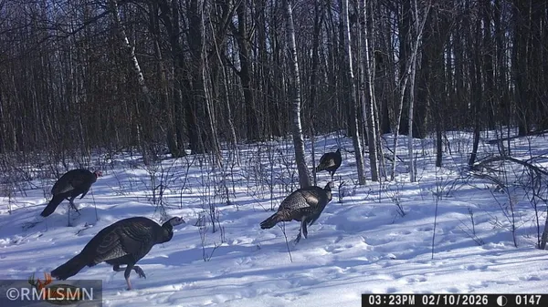 $205,000 | 2430 Falcon Street, Mora, MN 55051