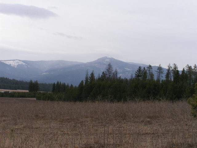 Lot C Spring Valley Road Newport, WA 99156 - Photo 1 of 1 Gallery Image 1
