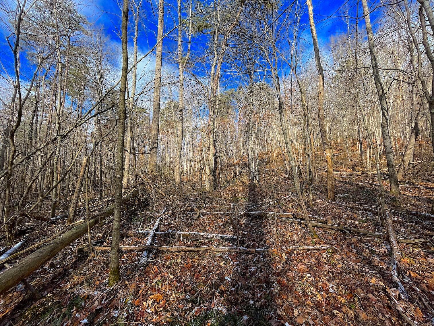 0 Hunting Run Road Lucasville, OH 45648 - Photo 37 of 39 IMG_0569