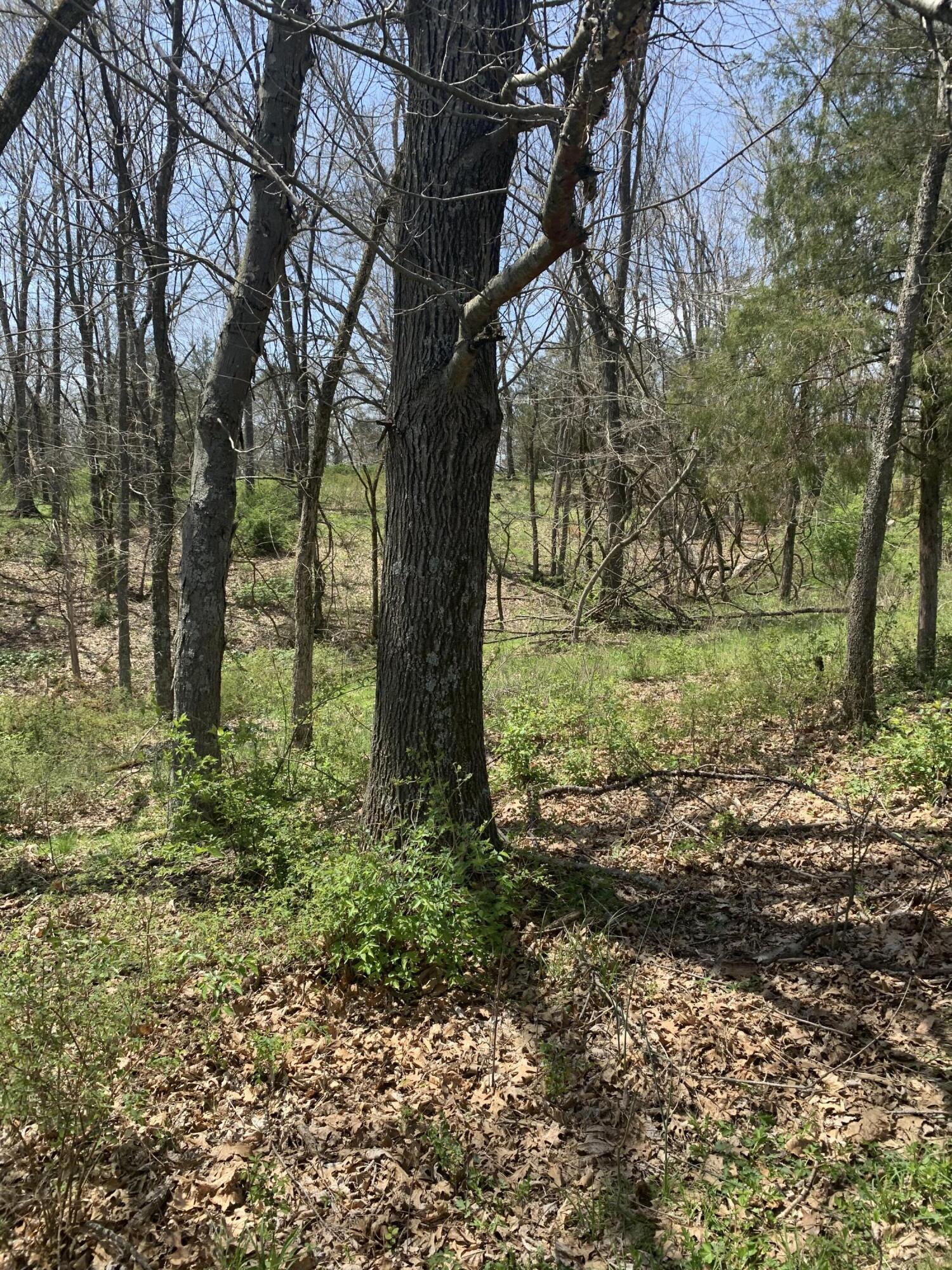 1000 Britton Road Harrodsburg, KY 40330 - Photo 21 of 88 D7EB8295-1AC2-453F-8825-714BEACBF43A