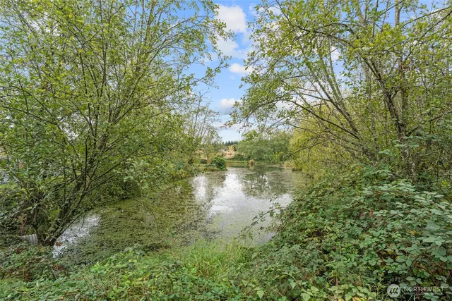 a view of a lake with a tree
