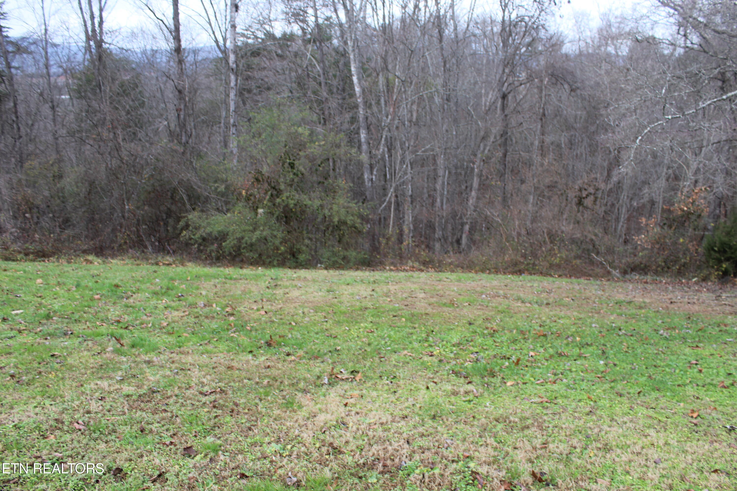 520 McDeerman Road Jacksboro, TN 37757 - Photo 7 of 24 IMG_6988