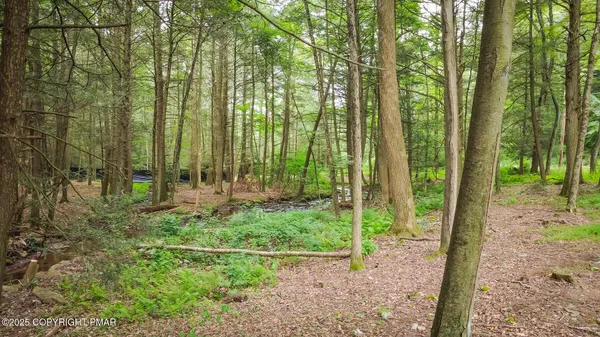 a view of outdoor space and garden