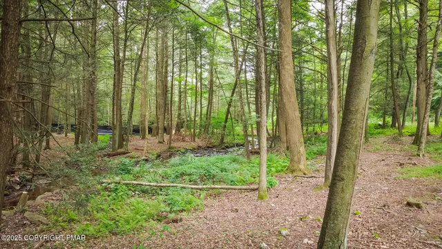 a view of outdoor space and garden
