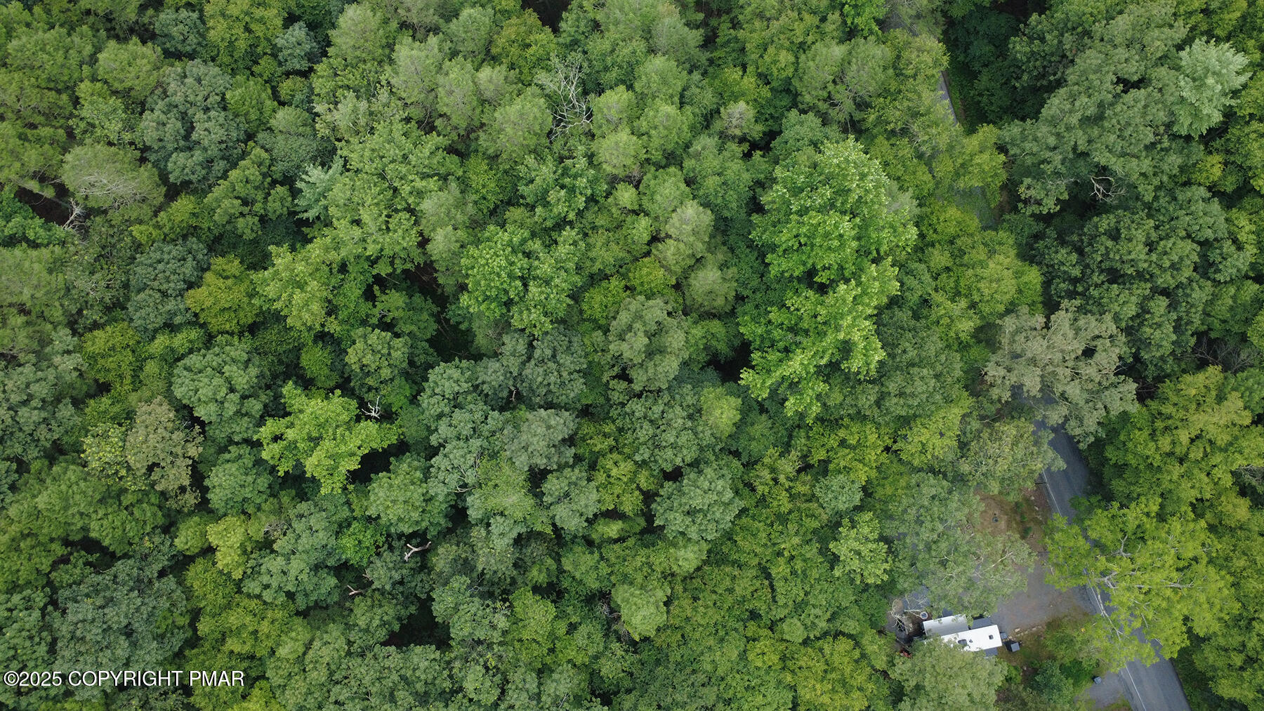 Laurel Road Lehighton, PA 18235 - Photo 4 of 12 a view of a lush green forest