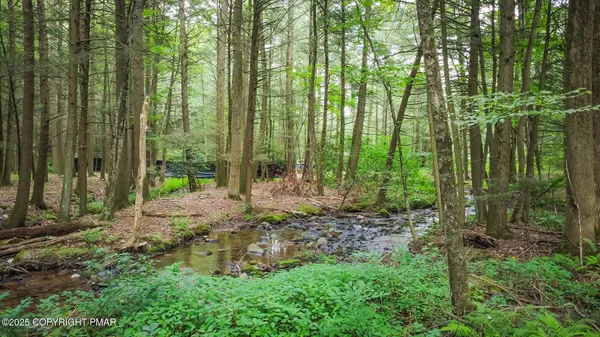 a garden with lots of trees