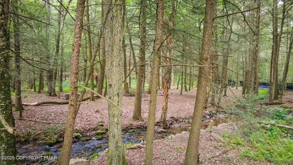 a view of a yard with plants and trees