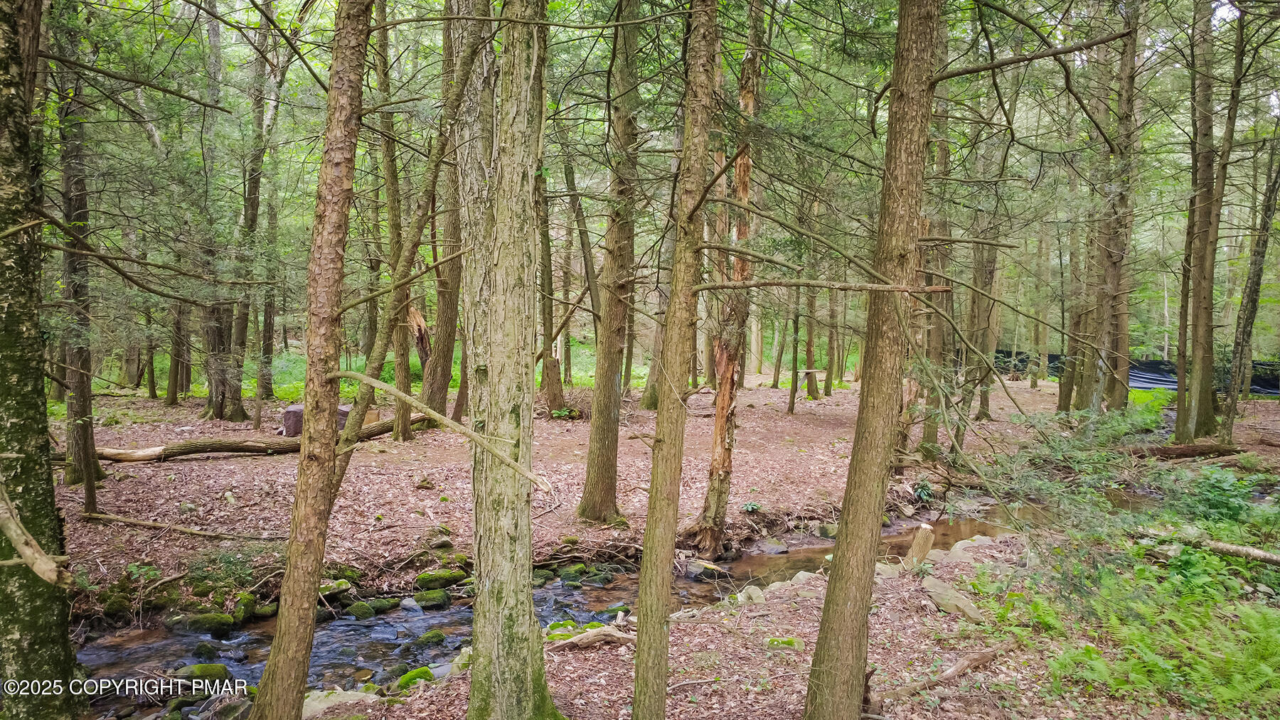 Laurel Road Lehighton, PA 18235 - Photo 9 of 12 a view of a yard with plants and trees