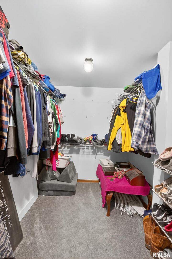 919 9th Avenue Fulton, IL 61252 - Photo 40 of 54