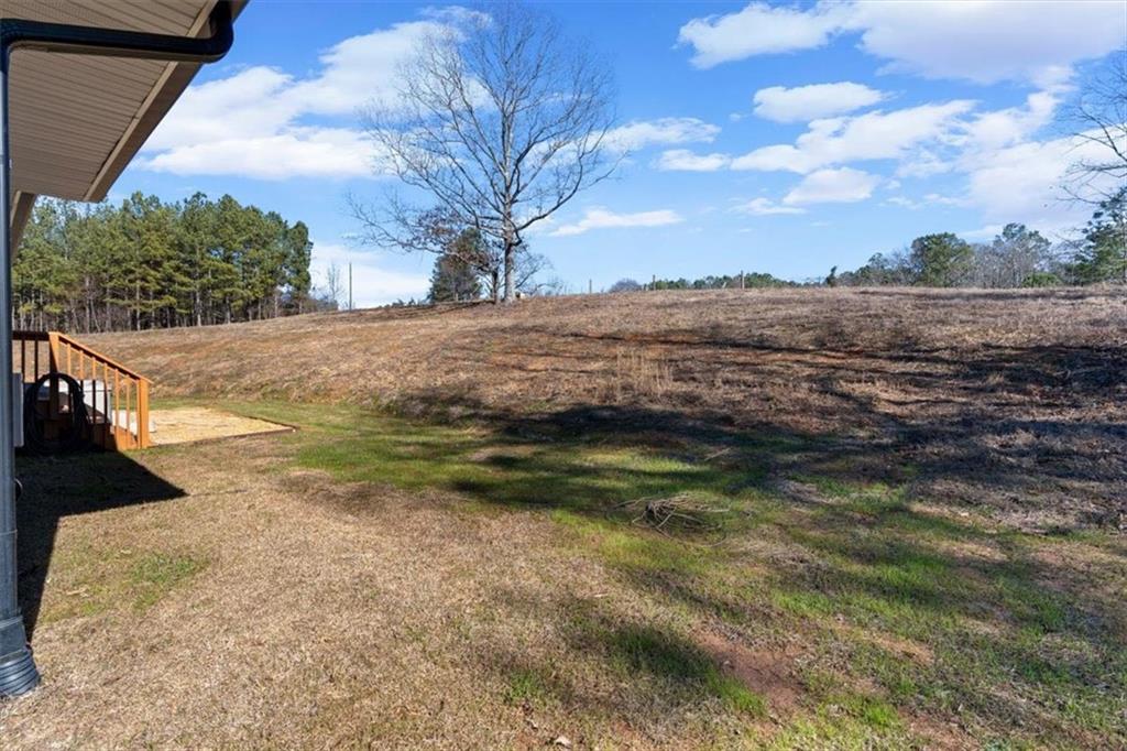 80 Hand Road Bowdon, GA 30108 - Photo 37 of 83