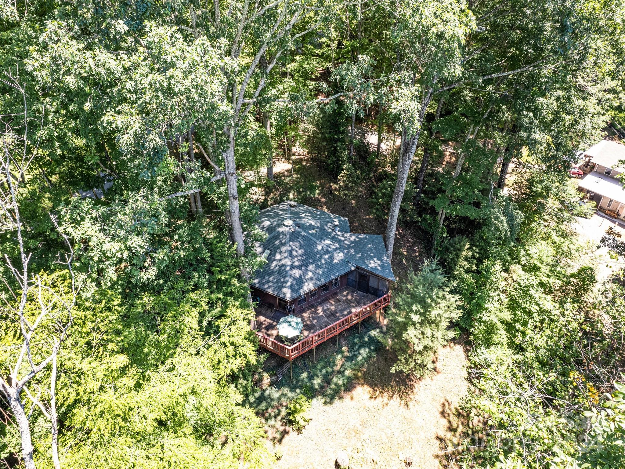 1004 Old Country Road Waynesville, NC 28786 - Photo 8 of 30 a view of a backyard with large trees