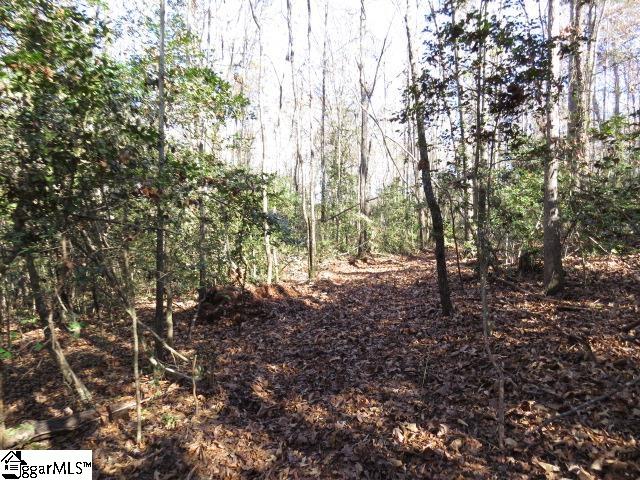 9835 Anderson Road Piedmont, SC 29673 - Photo 2 of 12 Gallery Image 2