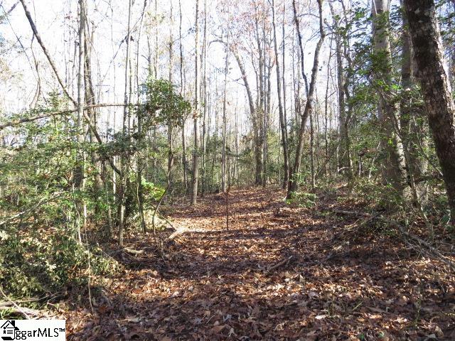 9835 Anderson Road Piedmont, SC 29673 - Photo 3 of 12 Gallery Image 3