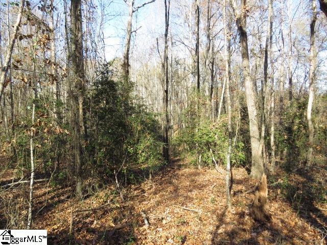 9835 Anderson Road Piedmont, SC 29673 - Photo 8 of 12 Gallery Image 8