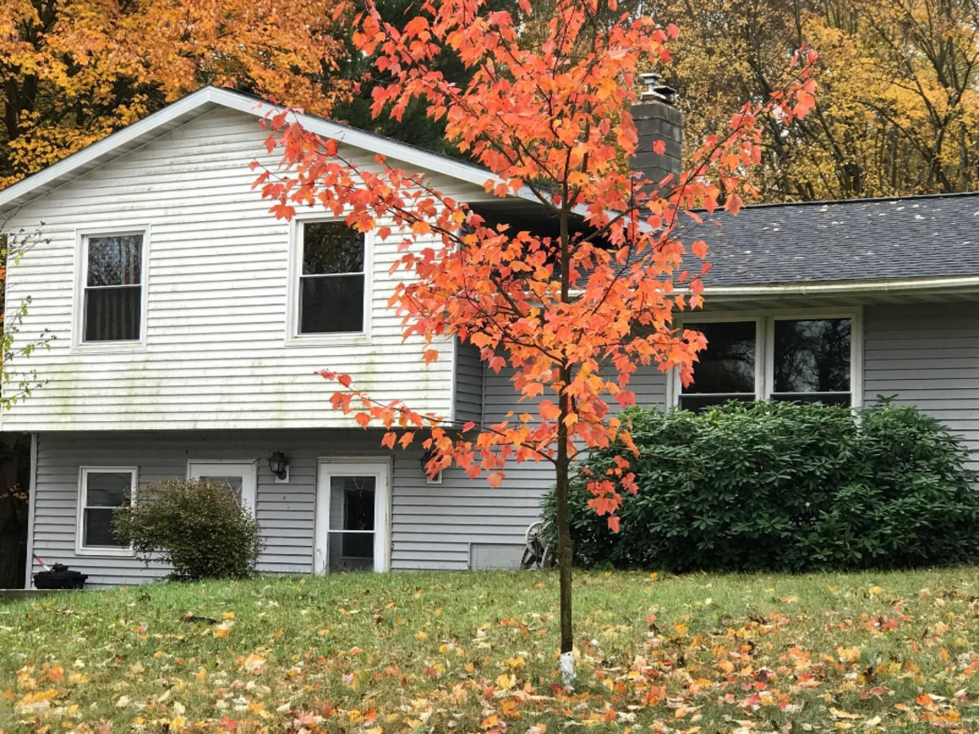 1161 West Tyler Road Muskegon, MI 49445 - Photo 24 of 26 Front