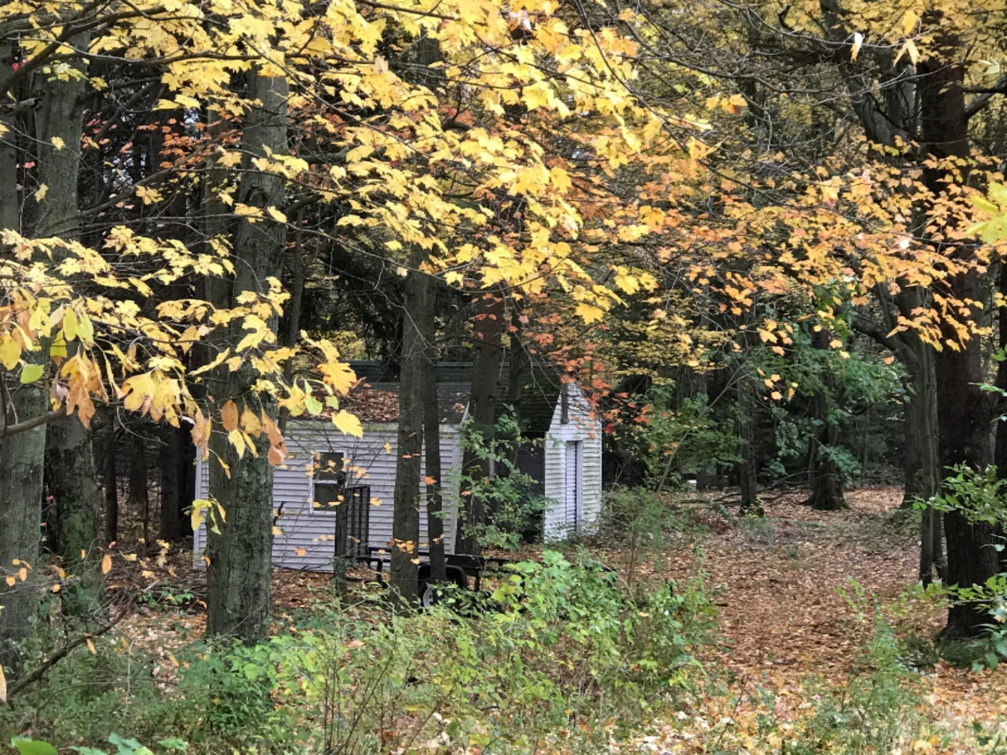 1161 West Tyler Road Muskegon, MI 49445 - Photo 26 of 26 Back yard