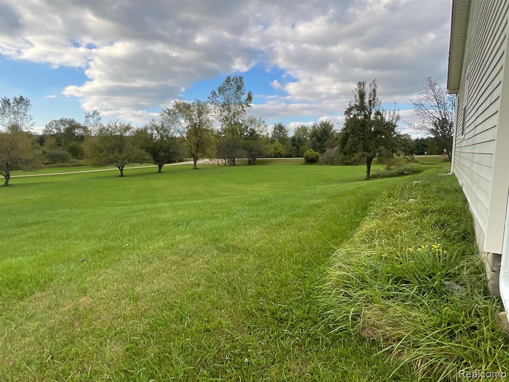 3076 Kings Mill Road North Branch, MI 48461 - Photo 14 of 39