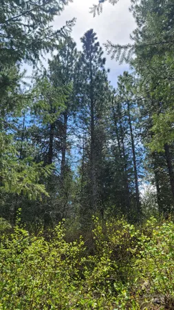 $1,700,000 | 2488 Lappin Lane, Council, ID 83612