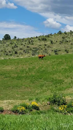 $1,700,000 | 2488 Lappin Lane, Council, ID 83612