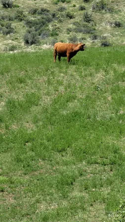 $1,700,000 | 2488 Lappin Lane, Council, ID 83612