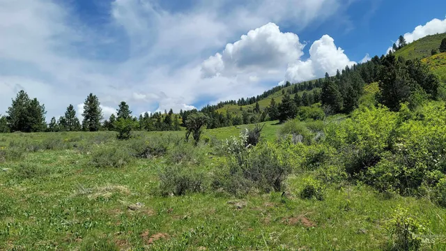 $1,700,000 | 2488 Lappin Lane, Council, ID 83612