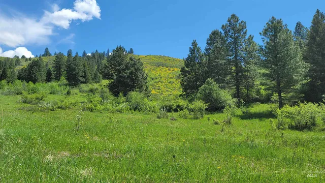 $1,700,000 | 2488 Lappin Lane, Council, ID 83612