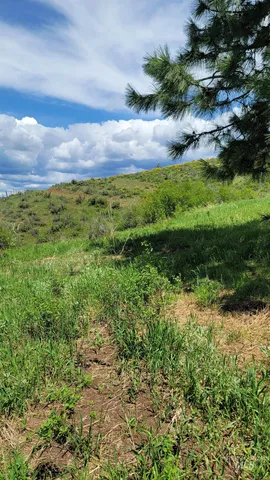 $1,700,000 | 2488 Lappin Lane, Council, ID 83612