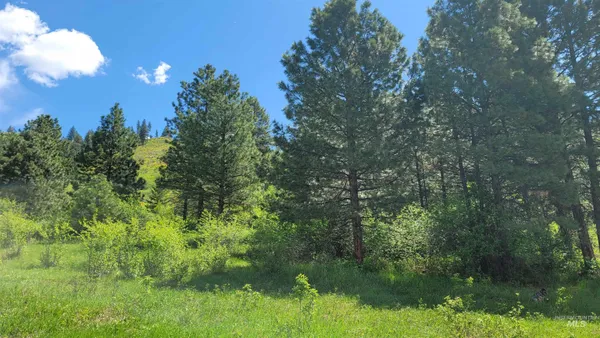 $1,700,000 | 2488 Lappin Lane, Council, ID 83612