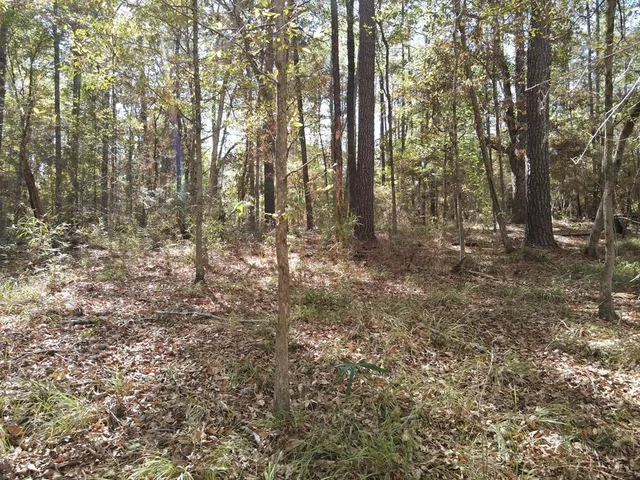 $99,000 | 2523 Berwick Castle, Liberty, MS 39645