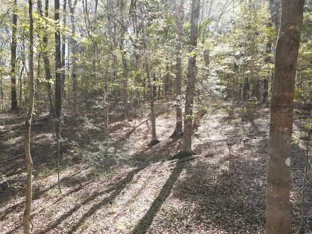 $99,000 | 2523 Berwick Castle, Liberty, MS 39645