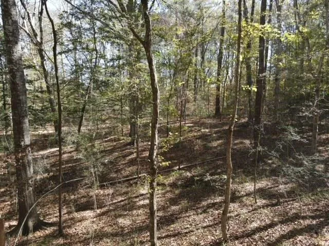 $99,000 | 2523 Berwick Castle, Liberty, MS 39645